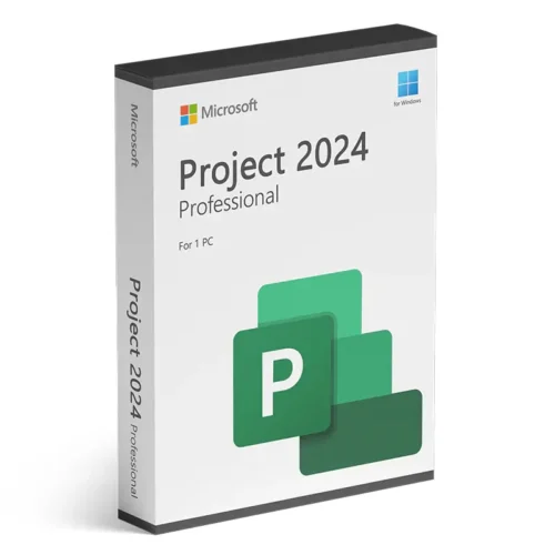 Project 2024 Professional LTSC
